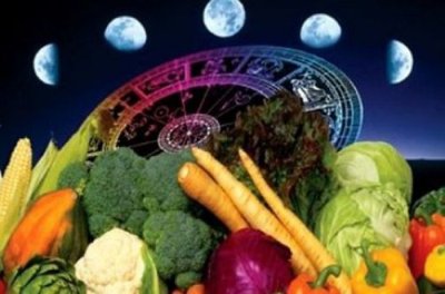 Овощные культуры под влиянием фазы луны