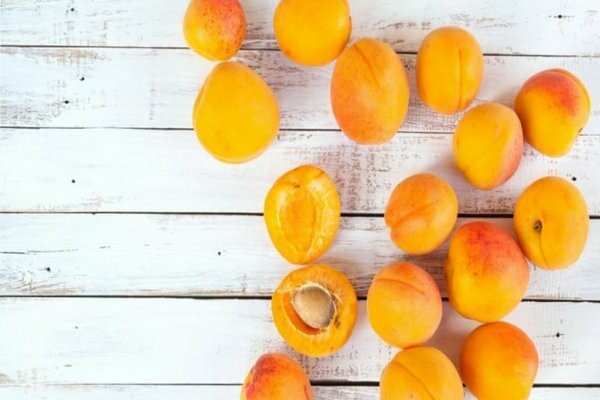 абрикос лель плоды
