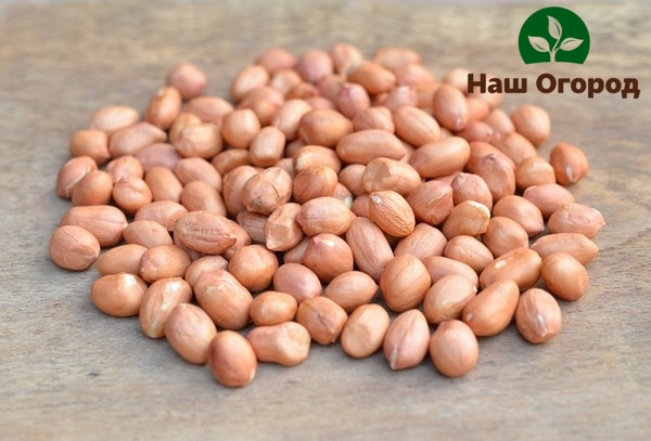 Семена арахиса имеют в своем составе большое количество углеводов