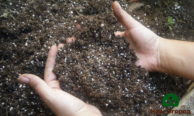 Удобренная селитрой почва