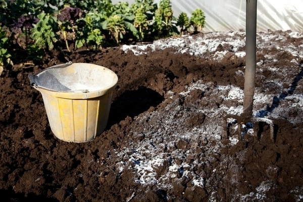 кислая почва как ее раскислить почву