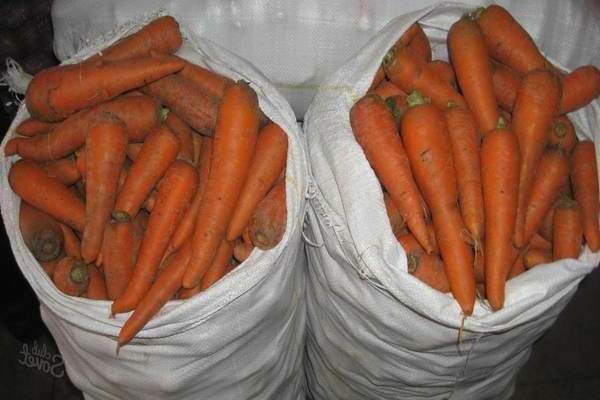 Зимние хранение моркови