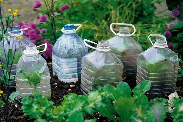 для сада своими руками из пластиковых бутылок