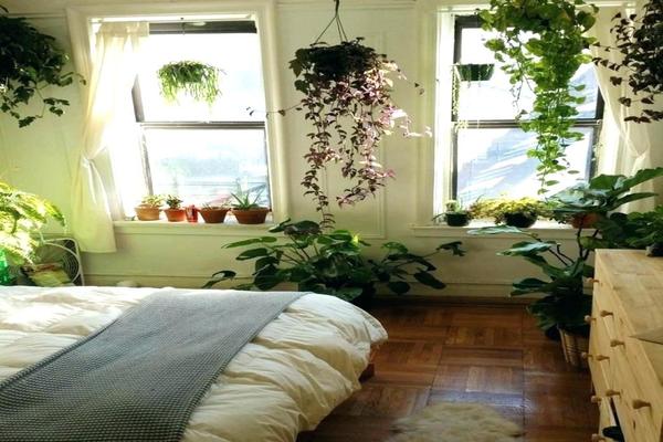 какие растения держать в спальне