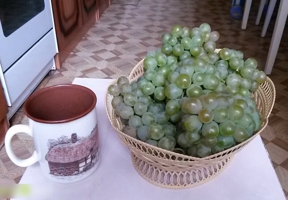 Сорт винограда Кристалл: сведения о ягодках