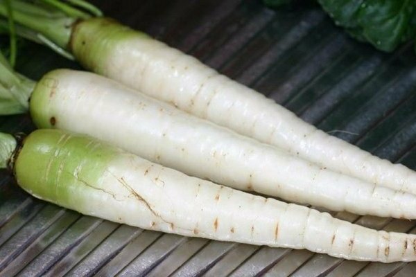 Белая морковь: от чего зависит цвет плода