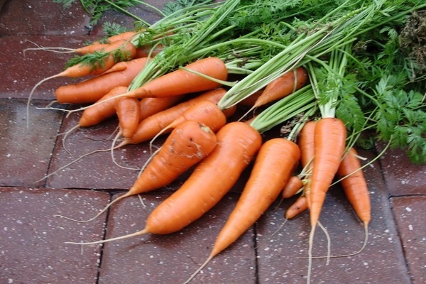мини морковь