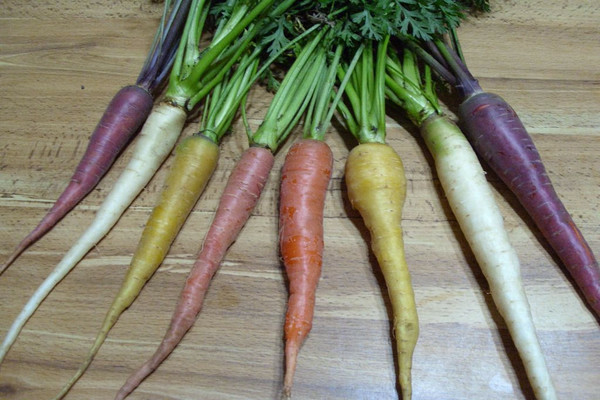 сорта фиолетовой моркови с фото и описанием