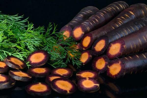фиолетовая морковь фото