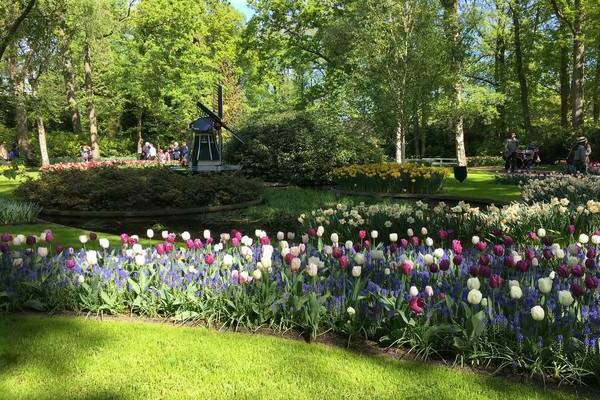 голландский сад фото