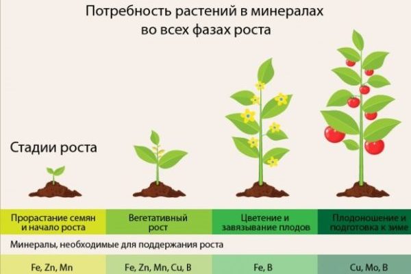 Удобрения в хелатной форме – что это такое и чем они полезны для растений