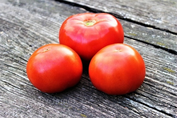 Описание: сорта помидора, поспевающие рано. ТОП-10 сортов