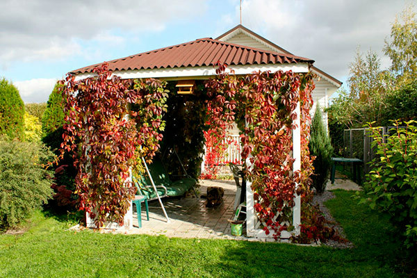 Пергола из дерева — благоустраиваем сад на даче