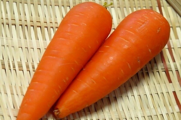 Лучшие сорта моркови ранней