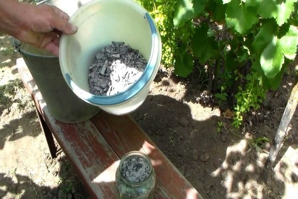 внекорневая подкормка винограда борной кислотой