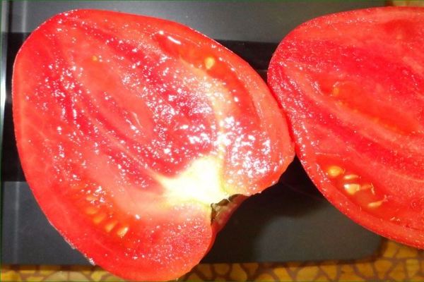 Мазарини томат: описание