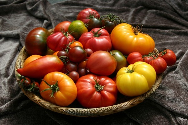 помидоры сорта отзывы фото