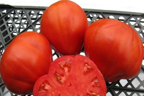 сто пудов томат отзывы
