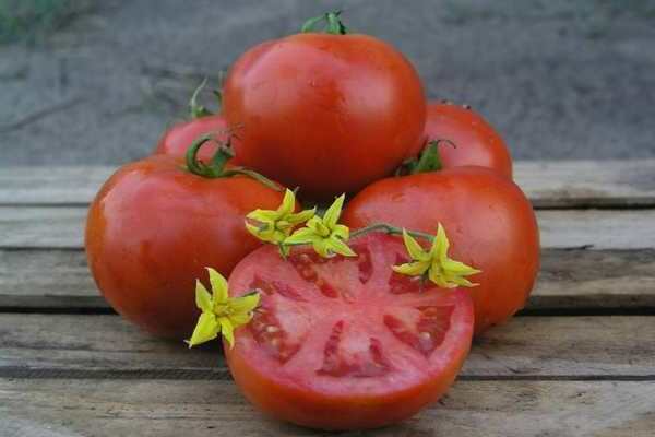 tomat mahitos4.vVD7G