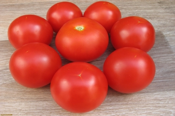 tomat sanka3.3Ve8e 1