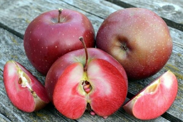 Яблоки с красной мякотью – что это за сорта и чем они лучше обычных